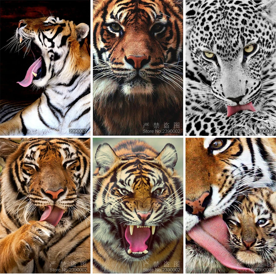 5D DIY Diamond Painting Animal &Strawberrie Embroidery Diamond Painting Cross Stitch Rhinestone Mosaic Painting Beast Tiger
5D DIY Diamond Painting Animal &Strawberrie Embroidery Diamond Painting Cross Stitch Rhinestone Mosaic Painting Beast Tiger