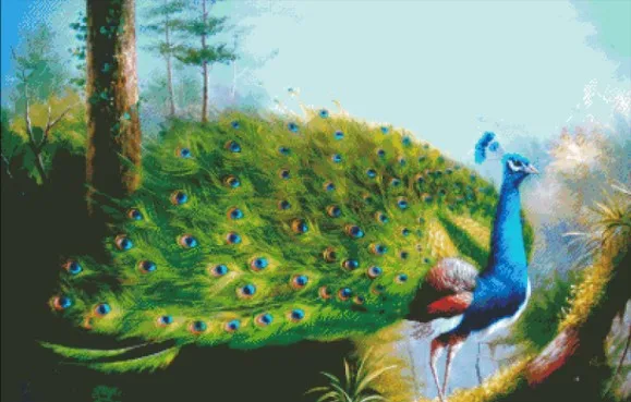 Needlework,Animal Peacock for embroidery,14ct Unprinted DIY Cross stitch kits,Art Pattern counted Cross-Stitching home decor
Needlework,Animal Peacock for embroidery,14ct Unprinted DIY Cross stitch kits,Art Pattern counted Cross-Stitching home decor