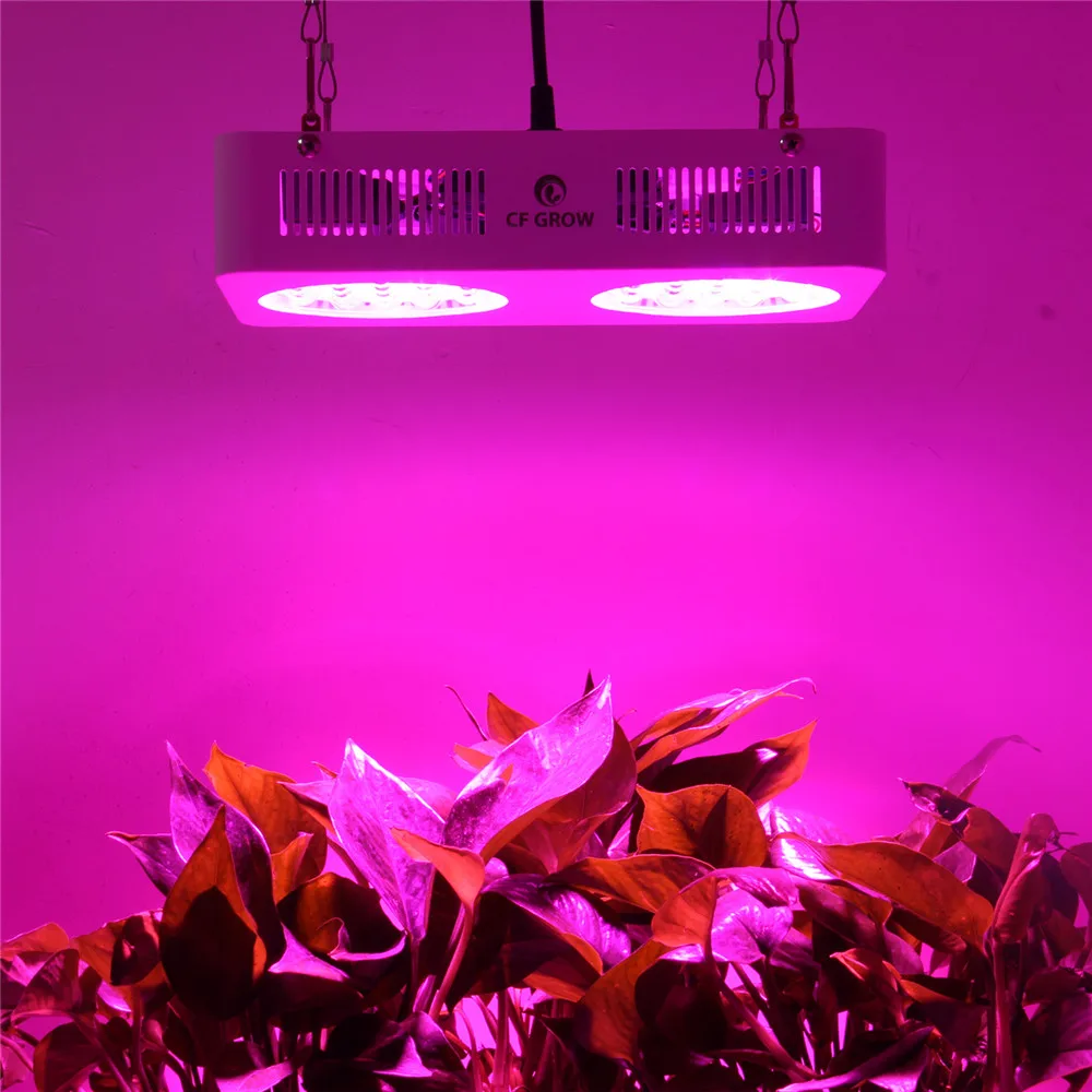 CF Grow 210W LED Grow Light Full Spectrum Hydroponic Plant Growing Lamp for Indoor Greenhouse Tent Flowers Fruit Growth Lighting
CF Grow 210W LED Grow Light Full Spectrum Hydroponic Plant Growing Lamp for Indoor Greenhouse Tent Flowers Fruit Growth Lighting