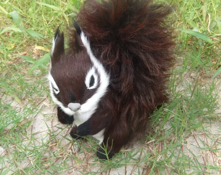 cute simulation Squirrel toy lifelike brown Squirrel dolls gift about 19x19cm
cute simulation Squirrel toy lifelike brown Squirrel dolls gift about 19x19cm