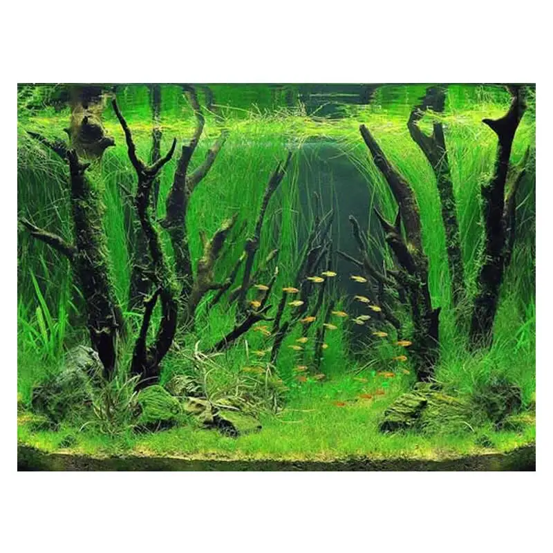 Двусторонний плакат для аквариума 9084 дюйма x 48 дюйма|aquarium decoration|aquarium decoration picturesfish