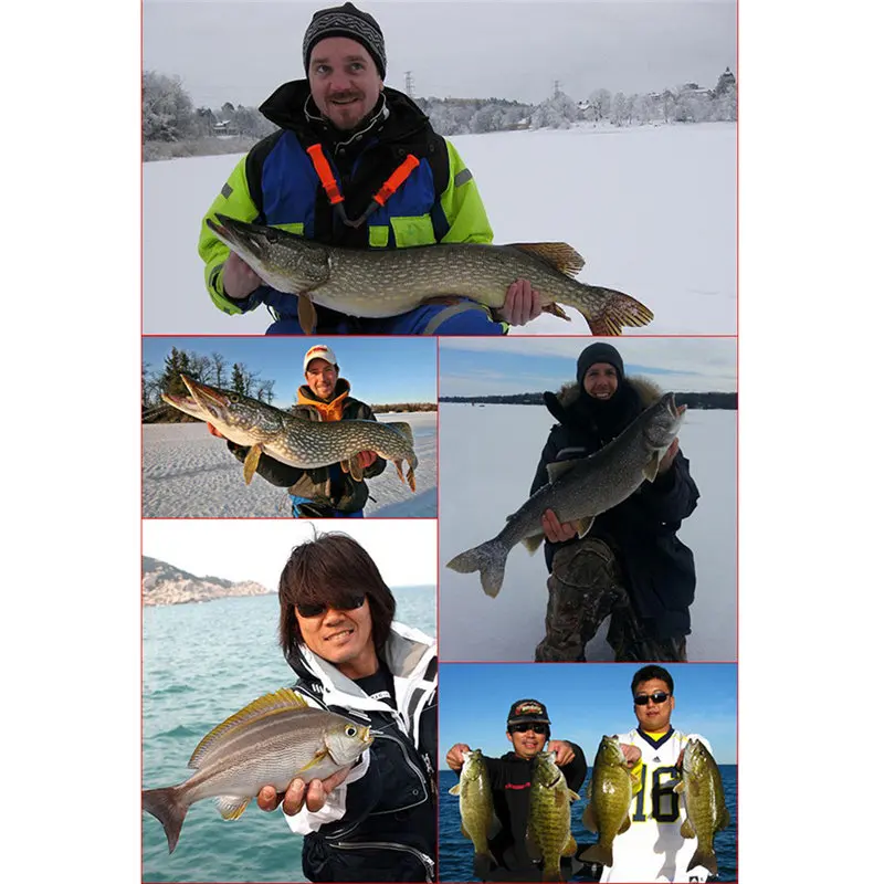 Hot Sale New DW403 Fishing Lures Crank Bait Hooks Bass Crankbaits Tackle Sinking Fishing Accessories Soft Pesca Accesorios 7
Hot Sale New DW403 Fishing Lures Crank Bait Hooks Bass Crankbaits Tackle Sinking Fishing Accessories Soft Pesca Accesorios 7