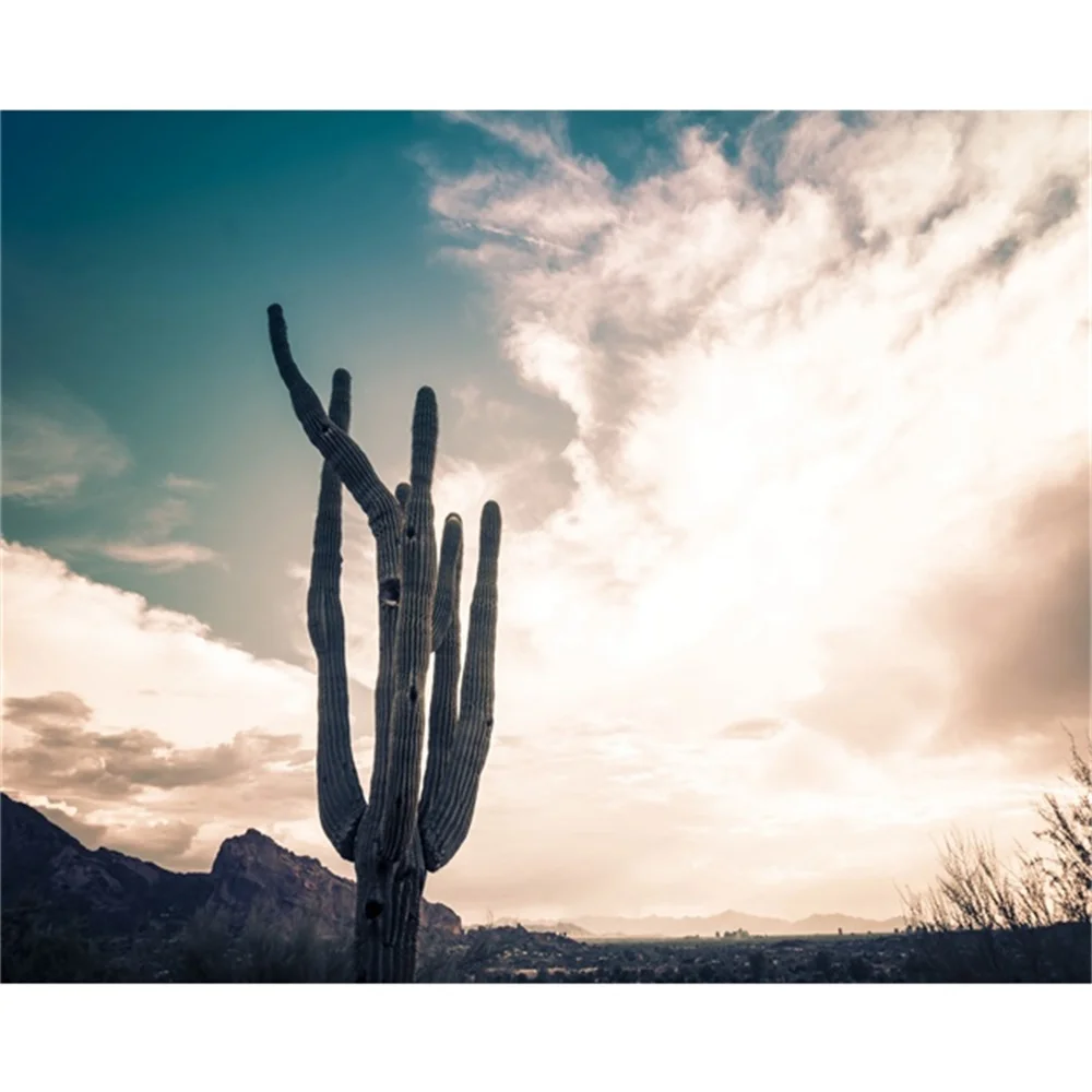 Laeacco Canvas Calligraphy Painting Cactus Tree Posters and Prints Scenery Wall Artworkwork Picture for Living Room Decor
Laeacco Canvas Calligraphy Painting Cactus Tree Posters and Prints Scenery Wall Artworkwork Picture for Living Room Decor