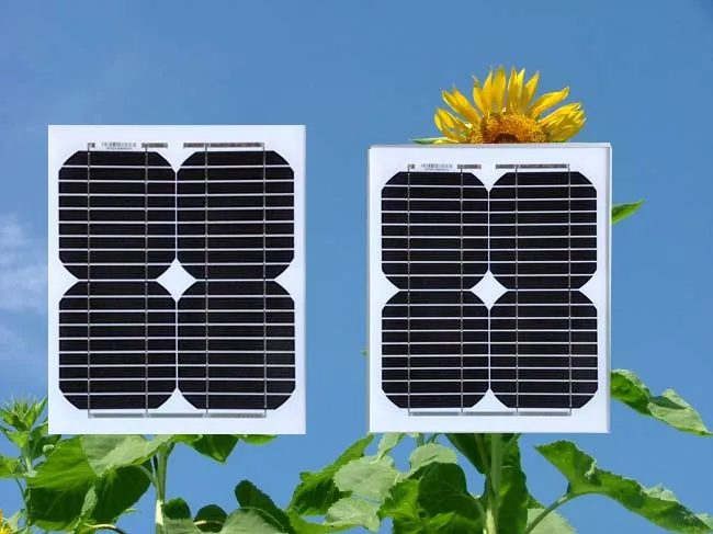 Portable Panel Solar 12v 10w 2 Pcs Solar Plates 24v 20W Solar Charger Battery Solar Street Light Camp Car Caravan LED Lamp
Portable Panel Solar 12v 10w 2 Pcs Solar Plates 24v 20W Solar Charger Battery Solar Street Light Camp Car Caravan LED Lamp