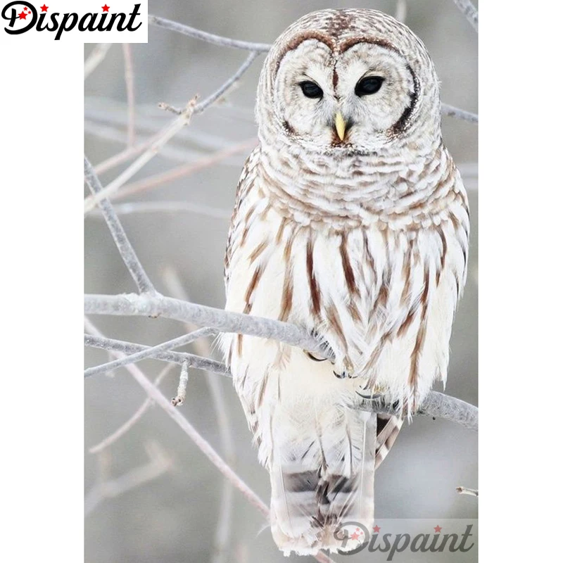 Dispaint Full Square/Round Drill 5D DIY Diamond Painting "Animal owl" Embroidery Cross Stitch 3D Home Decor A12602
Dispaint Full Square/Round Drill 5D DIY Diamond Painting "Animal owl" Embroidery Cross Stitch 3D Home Decor A12602