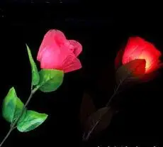 Lightening Rose Flower Sining Rose Magic Rose Super Light Led Good Packing Magic Sets YH342
Lightening Rose Flower Sining Rose Magic Rose Super Light Led Good Packing Magic Sets YH342