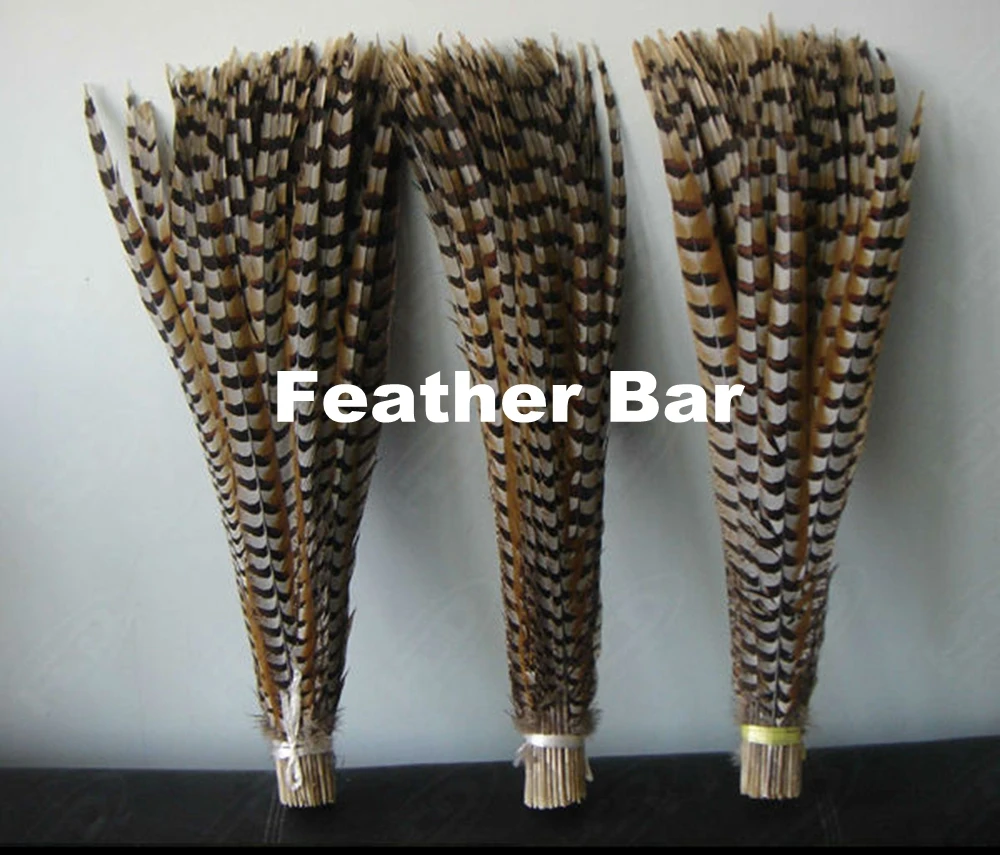 50 Pcs 70-80cm 80-90cm 50-60cm Natural Lady Amherst Pheasant Tail Feathers Super Long reeves' pheasant Feather
50 Pcs 70-80cm 80-90cm 50-60cm Natural Lady Amherst Pheasant Tail Feathers Super Long reeves' pheasant Feather