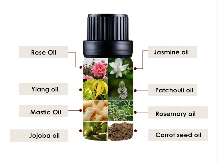 

Dimollaure Rosemary essential oil Refresh air fragrance lamp humidifier spice aromatherapy skin care massage plant essential oil