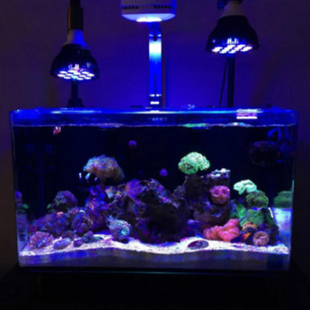 LED Reef Coral Lights E27 PAR 38 54W LED Full Spectrum LED Plant Grow Lights Fish Tank Aquarium Lamp SPS LPS Pongs Soft Corals
LED Reef Coral Lights E27 PAR 38 54W LED Full Spectrum LED Plant Grow Lights Fish Tank Aquarium Lamp SPS LPS Pongs Soft Corals