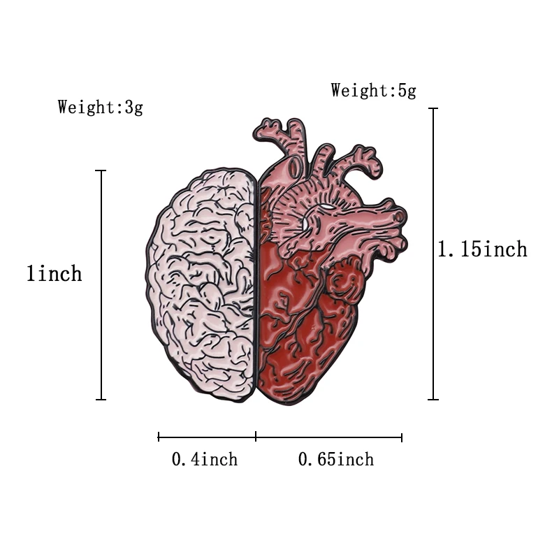 Эмалированные булавки в форме половины мозга и сердца анатомия медицинские