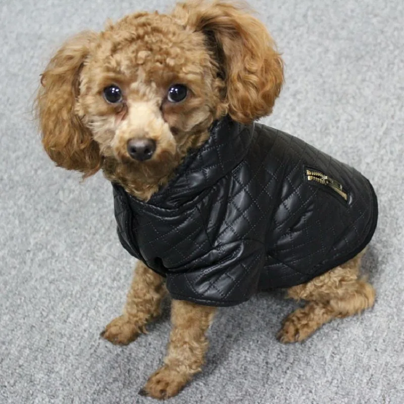 Leather small pet dog clothes winter Detachable two-piece set dog coat and jacket warm four legs hoodie dog apparel pet clothing
Leather small pet dog clothes winter Detachable two-piece set dog coat and jacket warm four legs hoodie dog apparel pet clothing