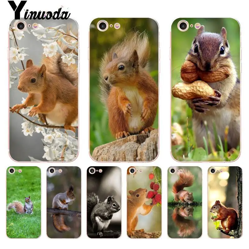 For iphone 13 7 Case squirrel water drink green grass Transparent Phone Case for iphone 13 8 7 6 6S Plus X 10 SE XR XS XSMAX
For iphone 13 7 Case squirrel water drink green grass Transparent Phone Case for iphone 13 8 7 6 6S Plus X 10 SE XR XS XSMAX