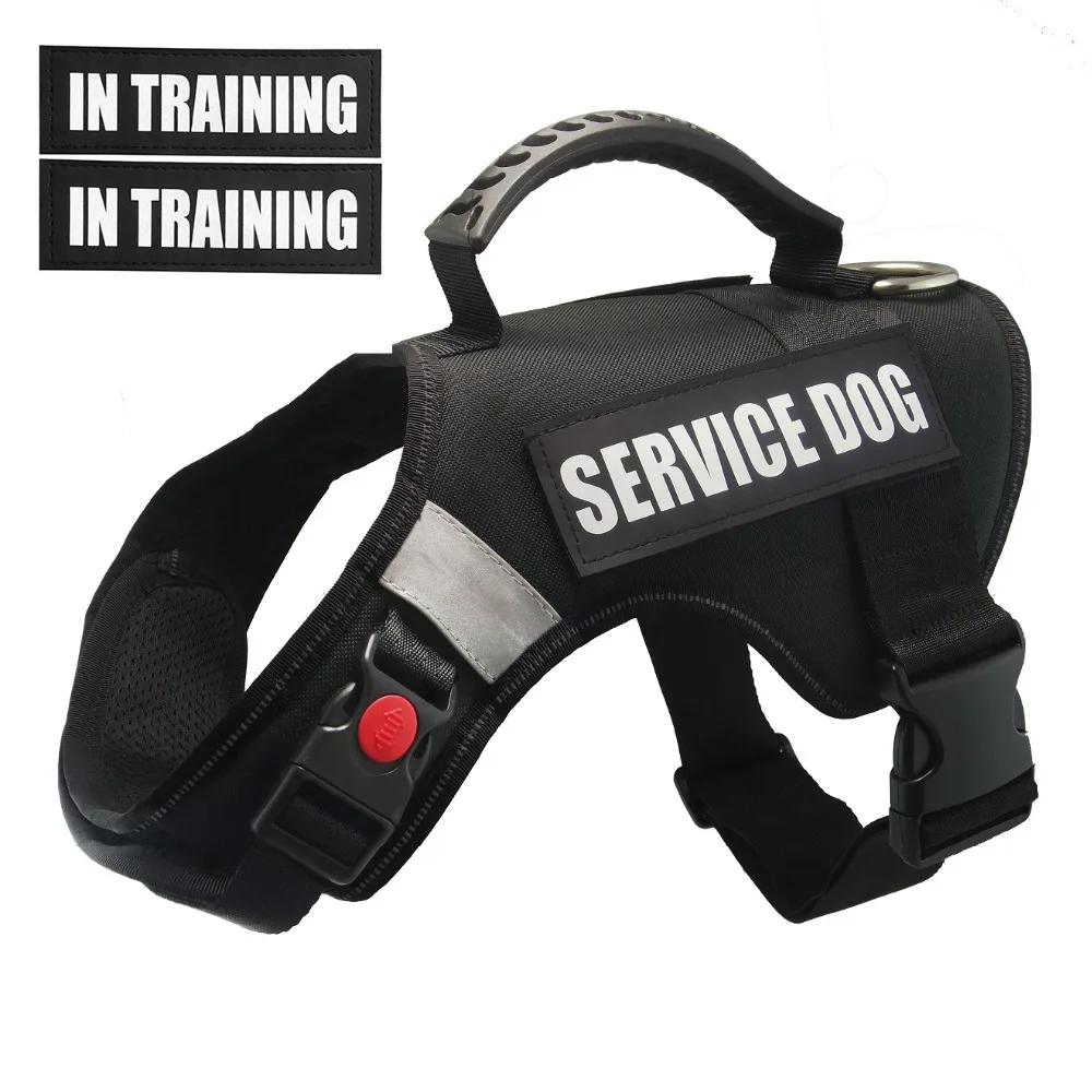 No Pull Dog Harness, Service Dog Vest, Adjustable Reflective In Training Dog Vest for Small Medium Large Dog, Daily Walking
No Pull Dog Harness, Service Dog Vest, Adjustable Reflective In Training Dog Vest for Small Medium Large Dog, Daily Walking
