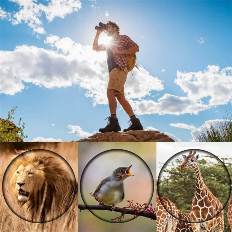 20X50 Binoculars Telescope 20X Magnification HD Wide-angle Professional Telescope Low Light Night Vision for Hunting Outdoor New
20X50 Binoculars Telescope 20X Magnification HD Wide-angle Professional Telescope Low Light Night Vision for Hunting Outdoor New