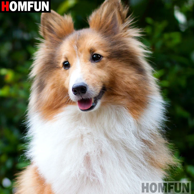 HOMFUN Full Square/Round Drill 5D DIY Diamond Painting "dog" Embroidery Cross Stitch 5D Home Decor A16219
HOMFUN Full Square/Round Drill 5D DIY Diamond Painting "dog" Embroidery Cross Stitch 5D Home Decor A16219