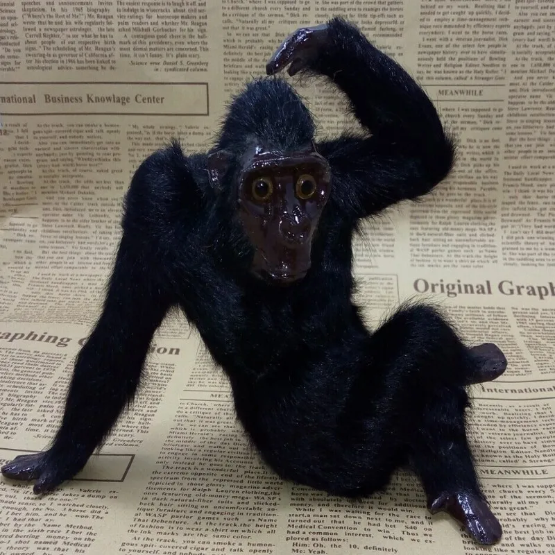new Simulation monkey toy polyethylene&furs lovely chimpanzee model gift about 20x15cm y0341
new Simulation monkey toy polyethylene&furs lovely chimpanzee model gift about 20x15cm y0341