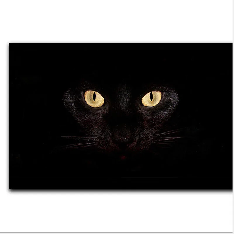 Entrance Door Carpet 3D Animals Black cat eyes Floor Carpet Living Room Bedroom Rug bathroom Non-Slip Mat Kitchen decoration Mat
Entrance Door Carpet 3D Animals Black cat eyes Floor Carpet Living Room Bedroom Rug bathroom Non-Slip Mat Kitchen decoration Mat