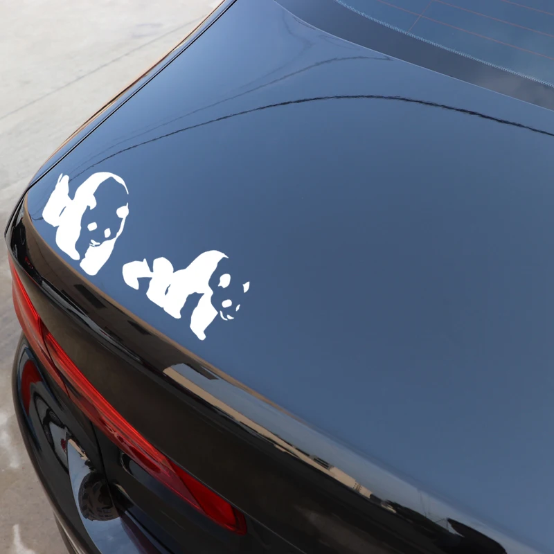 YJZT 16,8 * 7,3 
YJZT 16,8 * 7,3