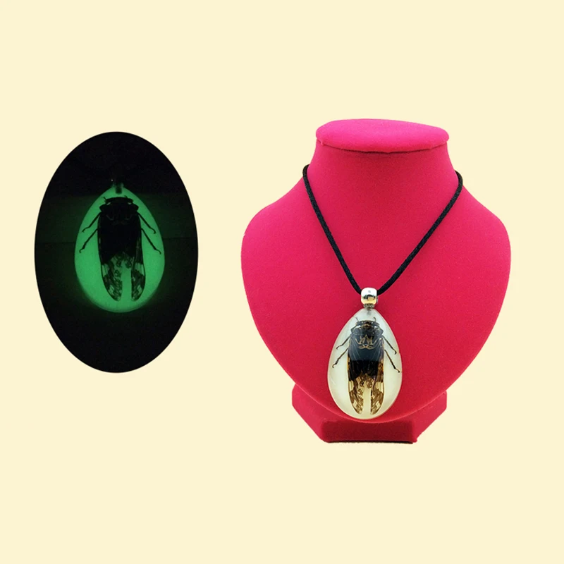 

1pcs Insect Specimen Artificial Amber Car Necklace Real Drop Scorpion Spider Beetle Jewelry Pendant Taxidermy Gift Accessories