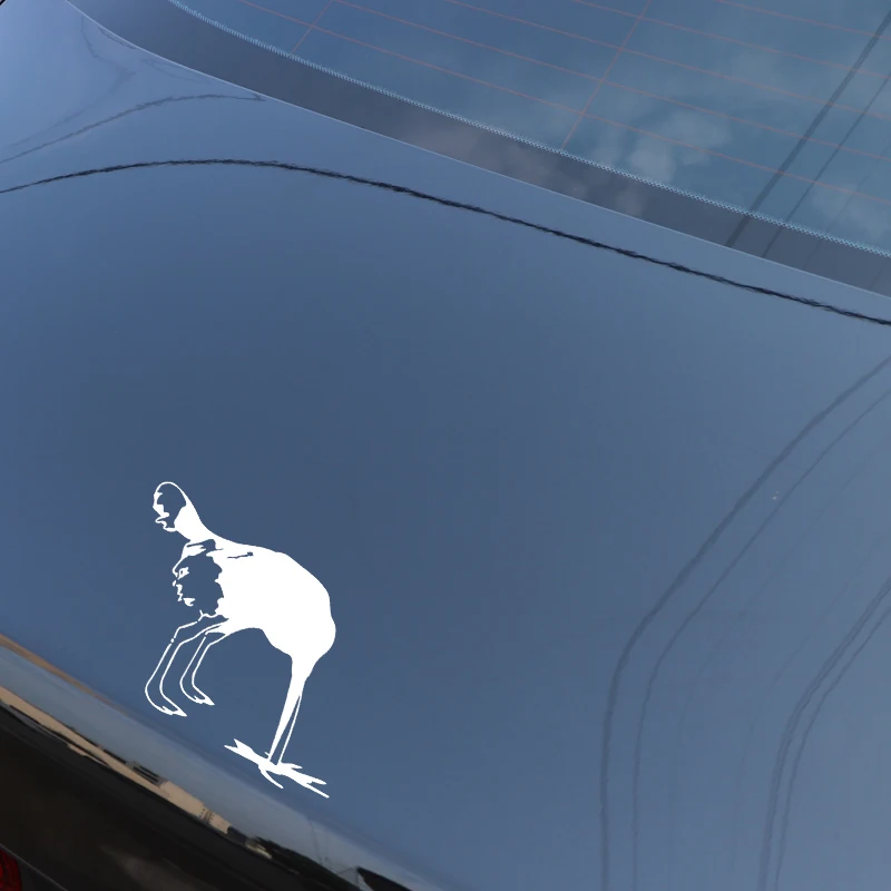 YJZT 17.1CM*12CM The Frightened Ostrich Creative Decoration Car Trunk Car Sticker Vinyl Decal Black/Silver C4-2095
YJZT 17.1CM*12CM The Frightened Ostrich Creative Decoration Car Trunk Car Sticker Vinyl Decal Black/Silver C4-2095