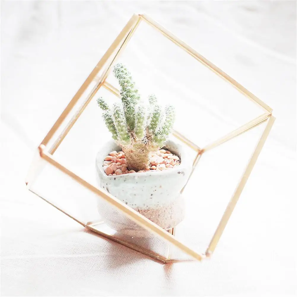 Geometric Micro Landscape Plant Glass House Small Flower Room Transparent Glass Flower House Innovative Ring Box
Geometric Micro Landscape Plant Glass House Small Flower Room Transparent Glass Flower House Innovative Ring Box