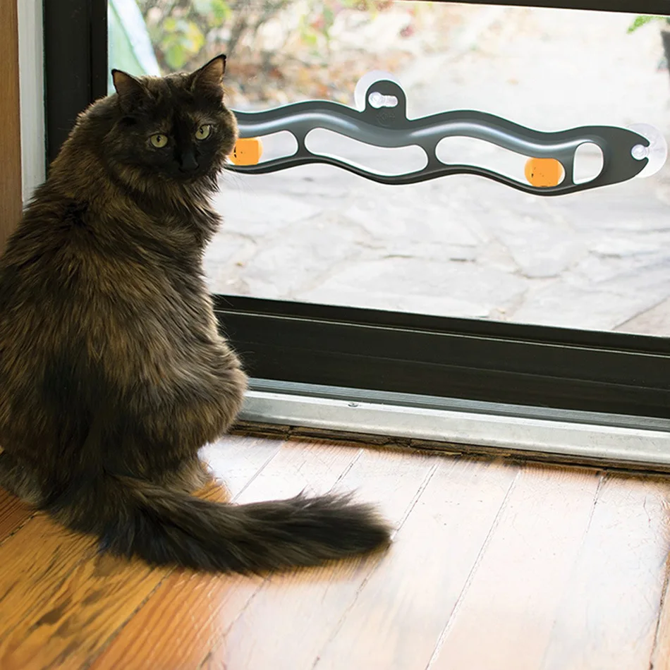 Sucker window table cat toy plastic table tennis pet toy track toy ball adsorption glass 21.7*4.65*2cm
Sucker window table cat toy plastic table tennis pet toy track toy ball adsorption glass 21.7*4.65*2cm