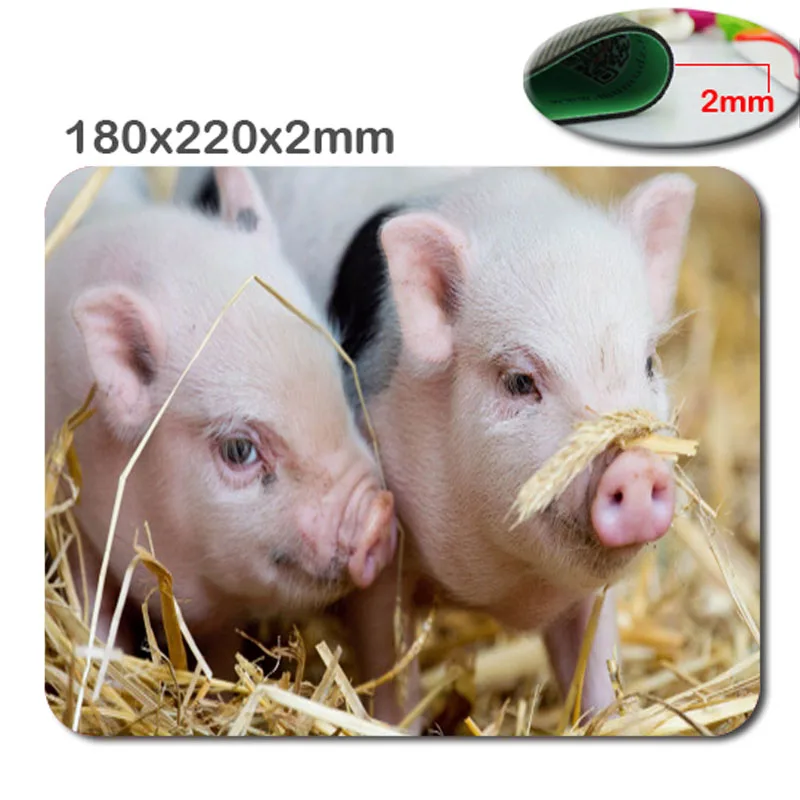 Both of cute little pigs Anti-Slip Rectangle Mouse Pad Customized Supported 220mmx180mmx2mm Cool Non-slip and Durable Mouse Pad
Both of cute little pigs Anti-Slip Rectangle Mouse Pad Customized Supported 220mmx180mmx2mm Cool Non-slip and Durable Mouse Pad