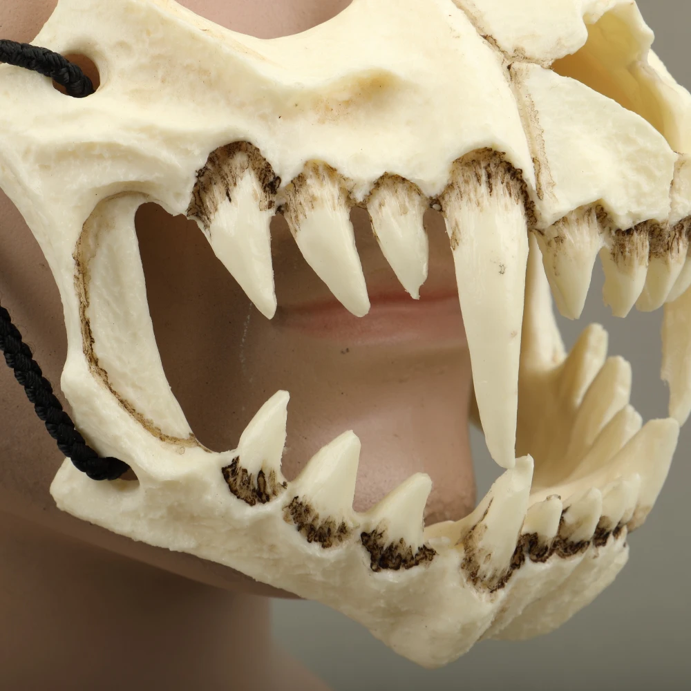 New The Japanese Dragon God Mask Eco-friendly and Natural Resin Mask for Animal Theme Party Cosplay Animal Mask Handmade
New The Japanese Dragon God Mask Eco-friendly and Natural Resin Mask for Animal Theme Party Cosplay Animal Mask Handmade