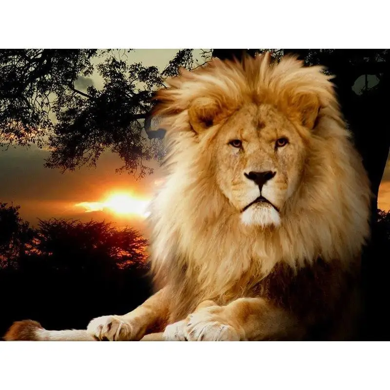 DIY Diamond Embroidery Lion Animal Diamond 5d Diamond Painting Cross Stitch Picture Of Rhinestones Diamond Mosaic
DIY Diamond Embroidery Lion Animal Diamond 5d Diamond Painting Cross Stitch Picture Of Rhinestones Diamond Mosaic
