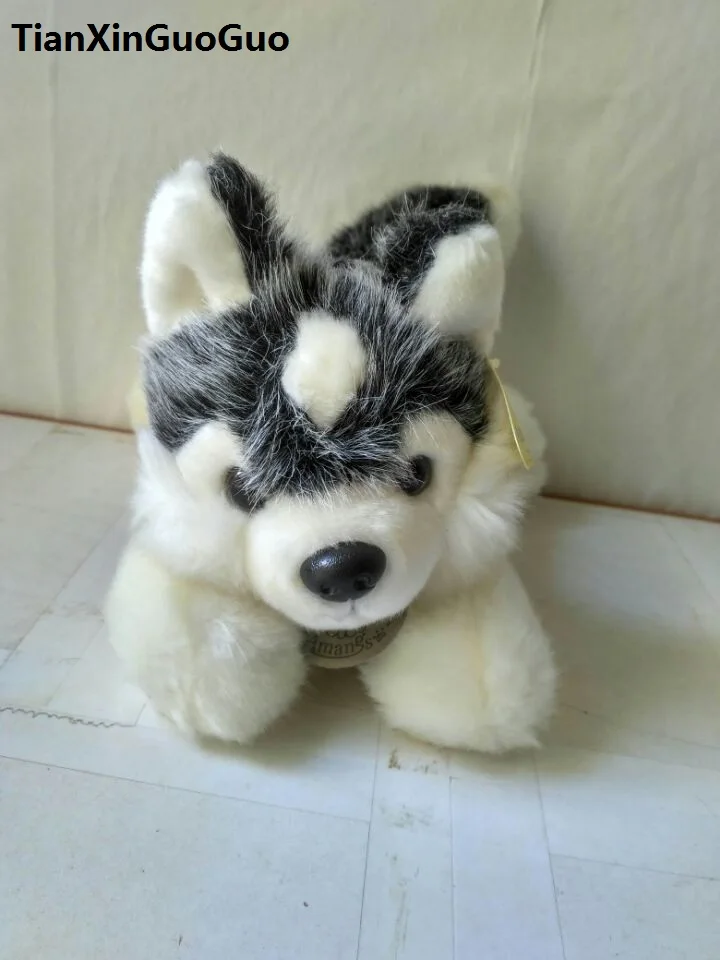 cute husky dog about 23cm gray prone husky plush toy soft doll birthday gift b1656
cute husky dog about 23cm gray prone husky plush toy soft doll birthday gift b1656