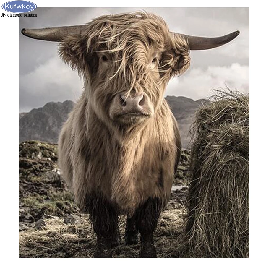 DIY Diamond Painting Cross Stitch Highland Cow Needlework 3D Diamond Embroidery Full Diamond Mosaic Crystal Decorative
DIY Diamond Painting Cross Stitch Highland Cow Needlework 3D Diamond Embroidery Full Diamond Mosaic Crystal Decorative