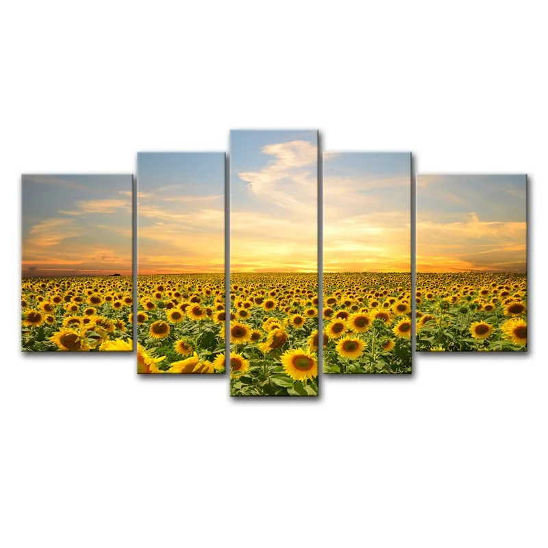 5 Piece Canvas Painting Poster Sunflowers Landscape Painting Home Decor Wall Art Modular Pictures HD Art Printing
5 Piece Canvas Painting Poster Sunflowers Landscape Painting Home Decor Wall Art Modular Pictures HD Art Printing