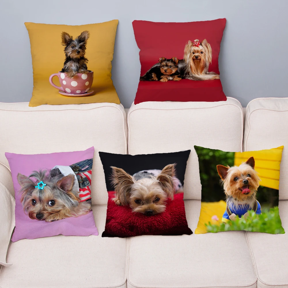 Mini Yorkshire Terrier Dog Pillow Cover 45*45 Cushion Cover Super Soft Short Plush Throw Pillows Case Home Decor Cushion Covers
Mini Yorkshire Terrier Dog Pillow Cover 45*45 Cushion Cover Super Soft Short Plush Throw Pillows Case Home Decor Cushion Covers