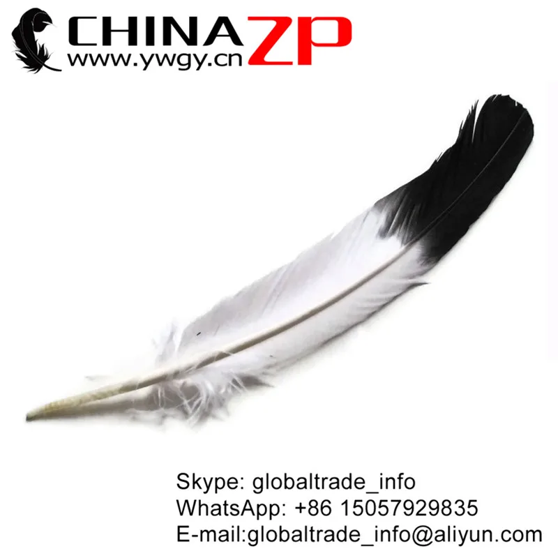 CHINAZP Factory 50pcs/lot 30~35cm(12~14inch) Exporting Good Quality Dyed Black Half Dipped Tom Turkey Rounds Wing Quill Feathers
CHINAZP Factory 50pcs/lot 30~35cm(12~14inch) Exporting Good Quality Dyed Black Half Dipped Tom Turkey Rounds Wing Quill Feathers