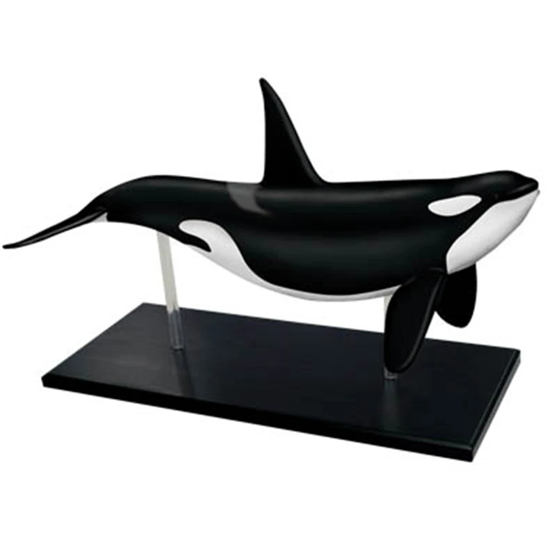 4D Whale Intelligence Assembling Toy Animal Organ Anatomy Model Medical Teaching DIY Popular Science Appliances
4D Whale Intelligence Assembling Toy Animal Organ Anatomy Model Medical Teaching DIY Popular Science Appliances