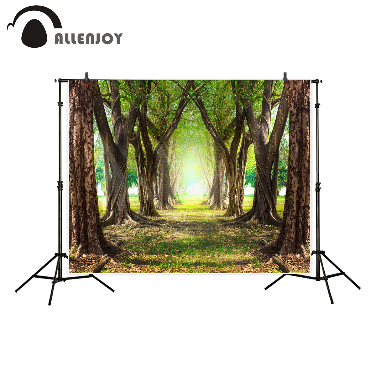 Allenjoy фоны для фотостудии волшебный лес зеленый весенний сезон лес тропа фон оригинальный дизайн фотосессия
Allenjoy фоны для фотостудии волшебный лес зеленый весенний сезон лес тропа фон оригинальный дизайн фотосессия
