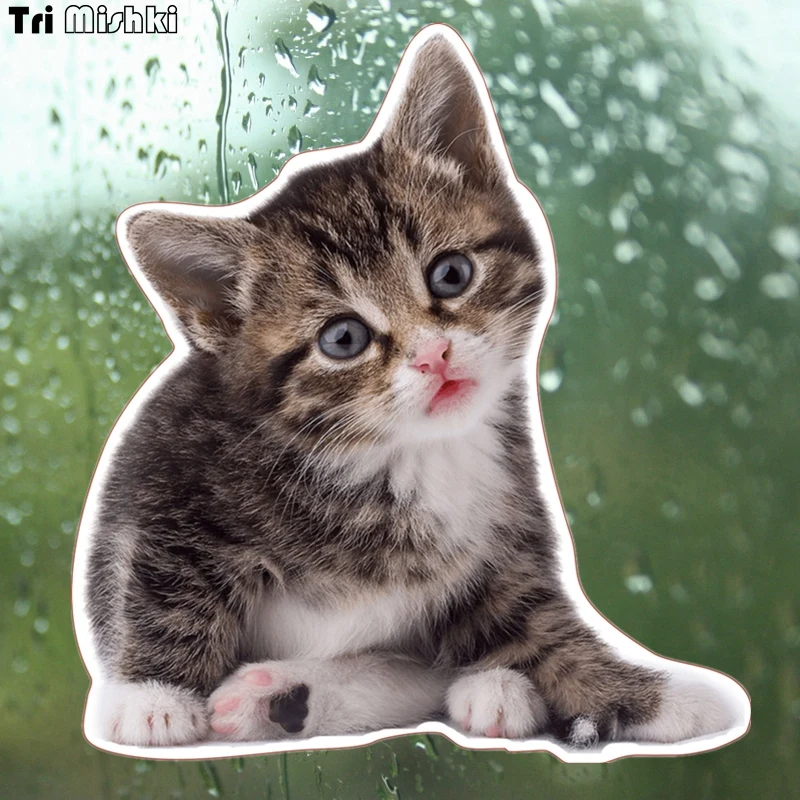 Tri Mishki WCS199 15x14cm Cute kitten or cat animal car sticker funny colorful auto automobile decals
Tri Mishki WCS199 15x14cm Cute kitten or cat animal car sticker funny colorful auto automobile decals