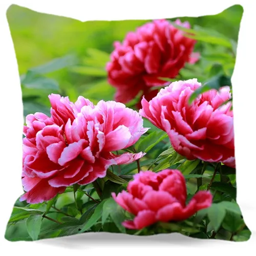 Cotton polyester Chair Sofa Home Decorative 16" 18" 19" 9 style Blooming Pink white peony flower pattern Pillow Case
Cotton polyester Chair Sofa Home Decorative 16" 18" 19" 9 style Blooming Pink white peony flower pattern Pillow Case