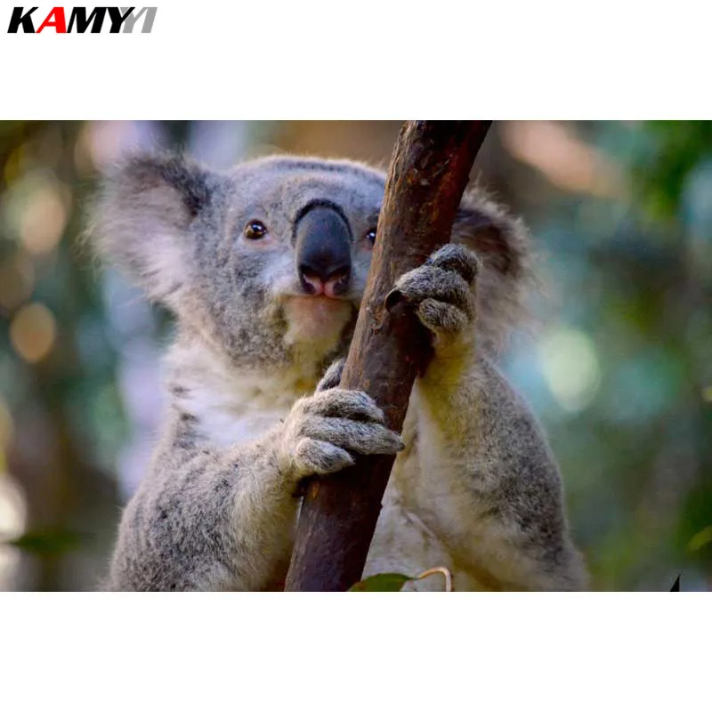 KAMY YI Full square / round diamond 5D DIY diamond painting Koala embroidery 3D cross stitch mosaic home decoration gift YY
KAMY YI Full square / round diamond 5D DIY diamond painting Koala embroidery 3D cross stitch mosaic home decoration gift YY