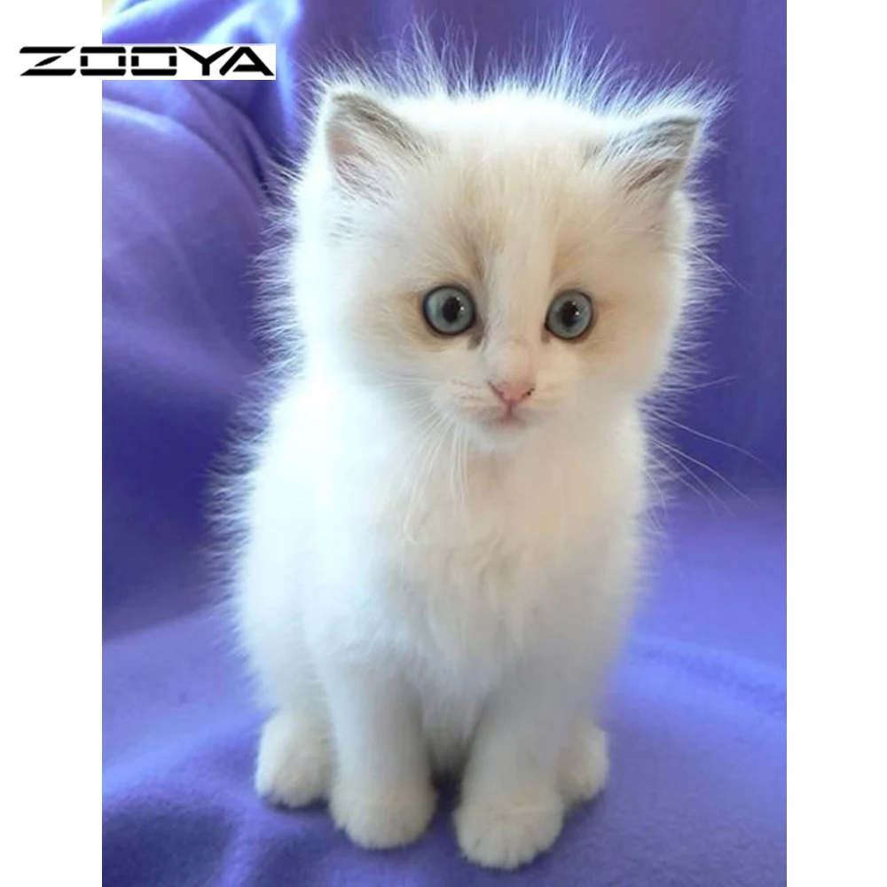 New Needlework Diamond Painting Cross Stitch Diamond Embroidery Cute White Cat Animals Square Full Diamond Home Decoration F713
New Needlework Diamond Painting Cross Stitch Diamond Embroidery Cute White Cat Animals Square Full Diamond Home Decoration F713