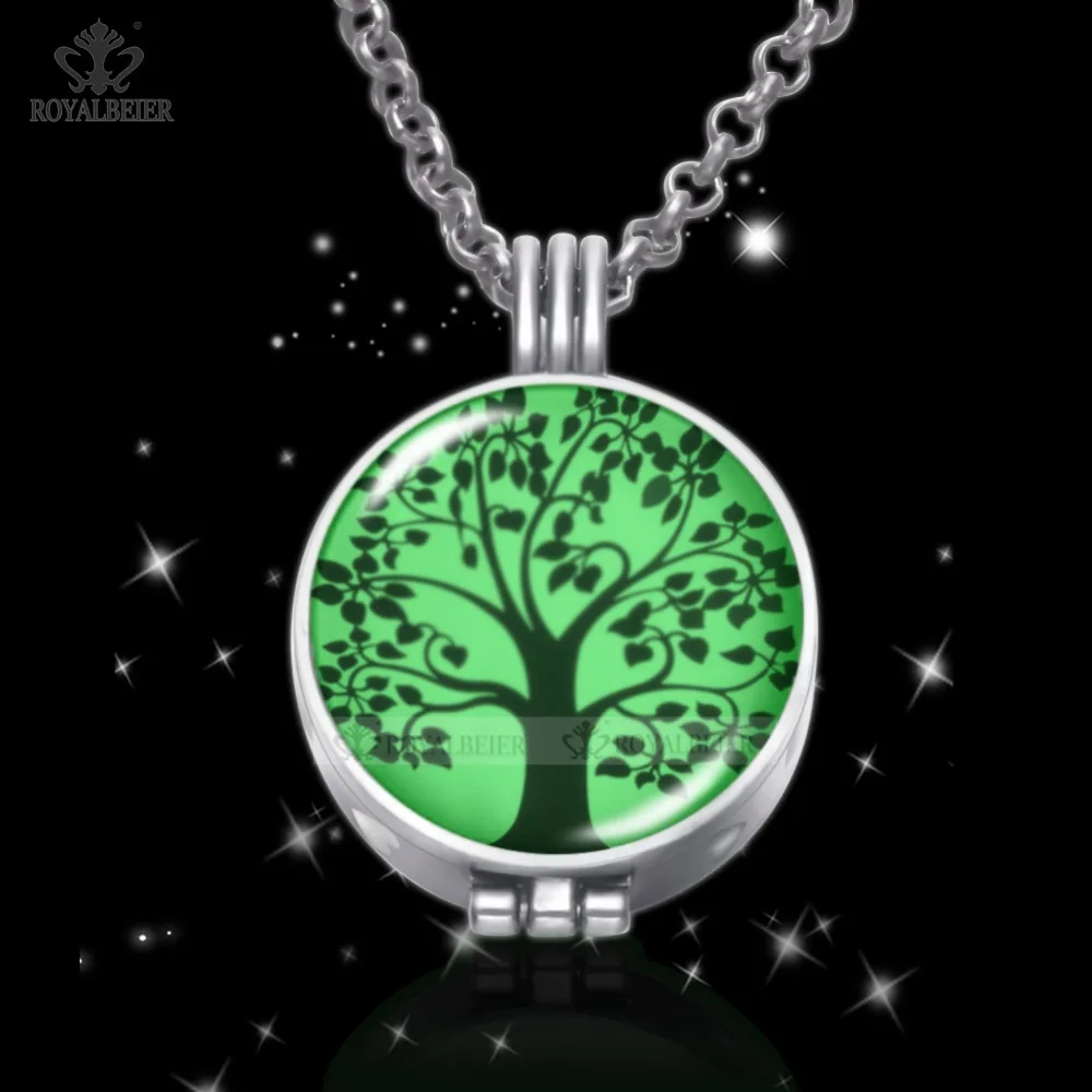 ROYALBEIER Mixed Perfume Luminous Stainless Steel Aromatherapy Pendant Women Essential Oil Diffuser Glow In the Dark Necklace
ROYALBEIER Mixed Perfume Luminous Stainless Steel Aromatherapy Pendant Women Essential Oil Diffuser Glow In the Dark Necklace