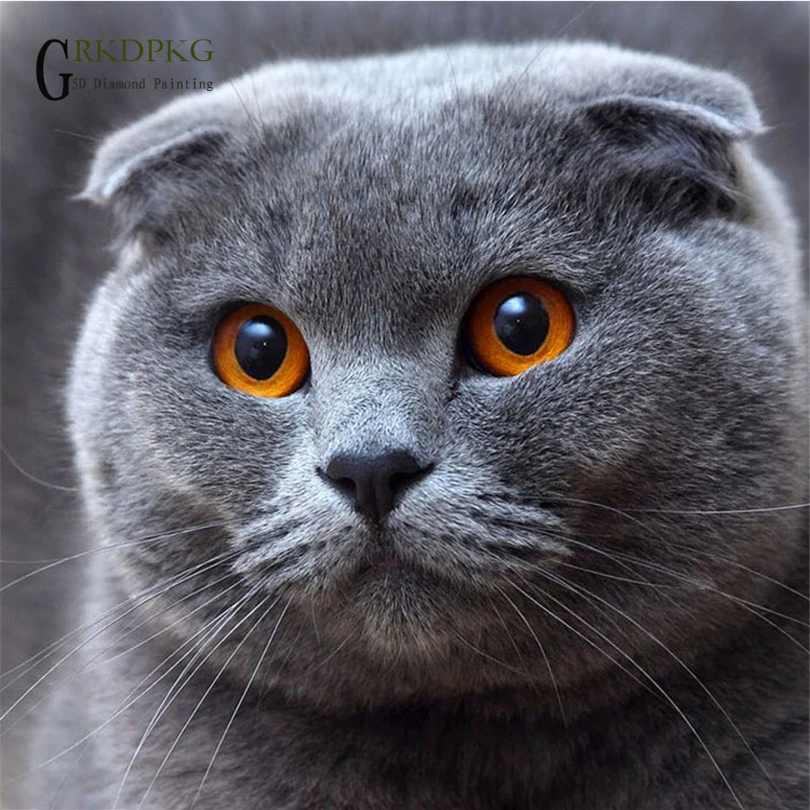 GRKDPKJ 5D DIY Diamond Painting Cat Crystal Diamond Painting Cross Stitch Lovely Lovers Cat Animal Needlework Home Decorative xx
GRKDPKJ 5D DIY Diamond Painting Cat Crystal Diamond Painting Cross Stitch Lovely Lovers Cat Animal Needlework Home Decorative xx