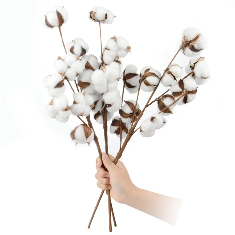 Cotton Stems,50cm Tall Cotton Buds Branches Dried Flowers Blossom Farmhouse Style Rustic Floral Display Filler DIY Crafts Decor
Cotton Stems,50cm Tall Cotton Buds Branches Dried Flowers Blossom Farmhouse Style Rustic Floral Display Filler DIY Crafts Decor