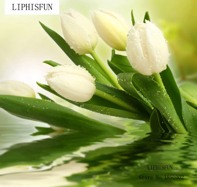 Diy Diamond Painting Flower 5d Cross Stitch Diamond Rhinestone Painting Full Square Resin Diamond Purple Tulip
Diy Diamond Painting Flower 5d Cross Stitch Diamond Rhinestone Painting Full Square Resin Diamond Purple Tulip