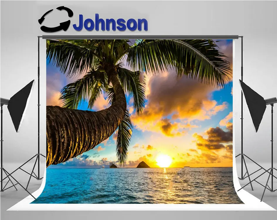 Sunrise Lanikai Kailua Sunrise Hawaii Palm Tree backdrops High quality Computer print wedding background
Sunrise Lanikai Kailua Sunrise Hawaii Palm Tree backdrops High quality Computer print wedding background