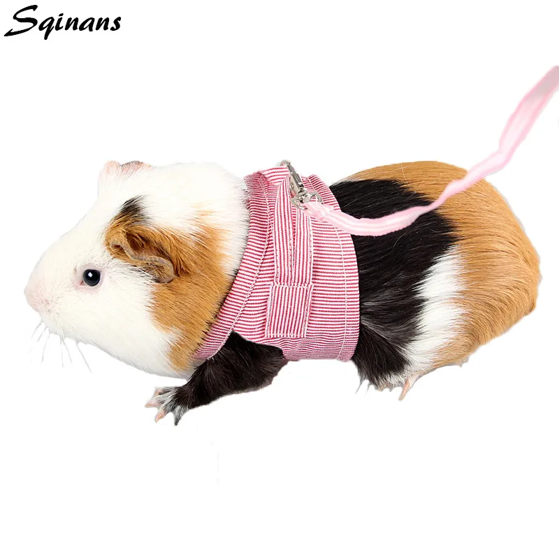 Sqinans 2 Colors Hamster Rabbit Harness And Leash Set Ferret Guinea Pig Small Animal Pet Walking Lead 1.8m S/L
Sqinans 2 Colors Hamster Rabbit Harness And Leash Set Ferret Guinea Pig Small Animal Pet Walking Lead 1.8m S/L