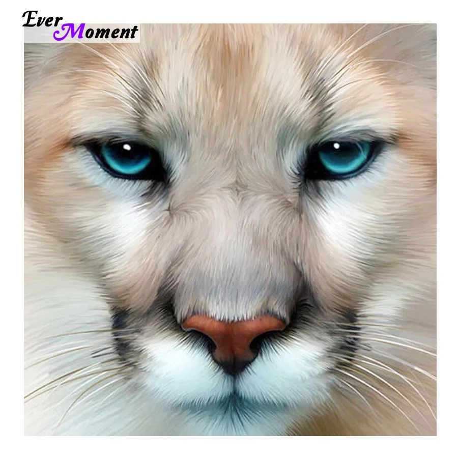 3D Diy Diamond Painting Animals White Cat Cross Stitch Wall Sticker Diamond Embroidery Full Resin Crafts Needlework ASF438
3D Diy Diamond Painting Animals White Cat Cross Stitch Wall Sticker Diamond Embroidery Full Resin Crafts Needlework ASF438