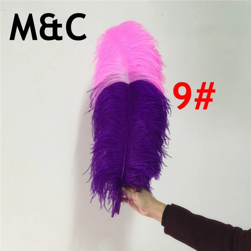 Wholesale 50pcs pink tipped with purple ostrich feathers 50-55cm 20-22inch two tone ostrich plumes for carnival decorate crafts
Wholesale 50pcs pink tipped with purple ostrich feathers 50-55cm 20-22inch two tone ostrich plumes for carnival decorate crafts