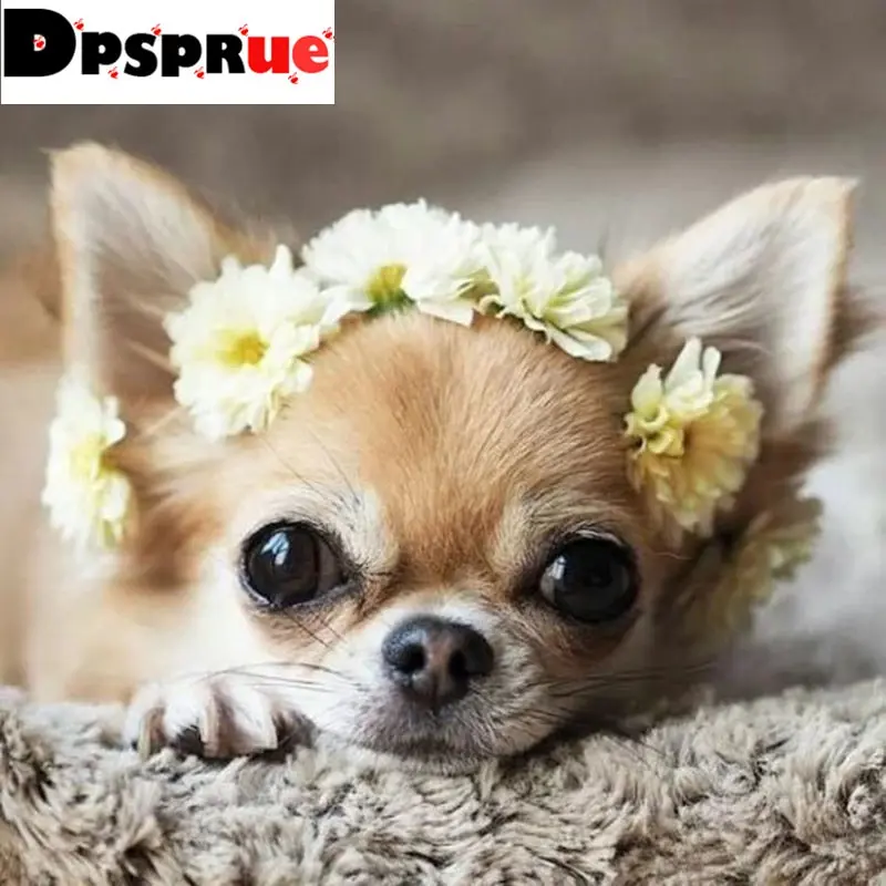 Dpsprue 5D DIY Diamond Painting Full Square/Round Drill "Cute Dog" Embroidery Cross Stitch Mosaic gift Home Decor Gift Dp01
Dpsprue 5D DIY Diamond Painting Full Square/Round Drill "Cute Dog" Embroidery Cross Stitch Mosaic gift Home Decor Gift Dp01