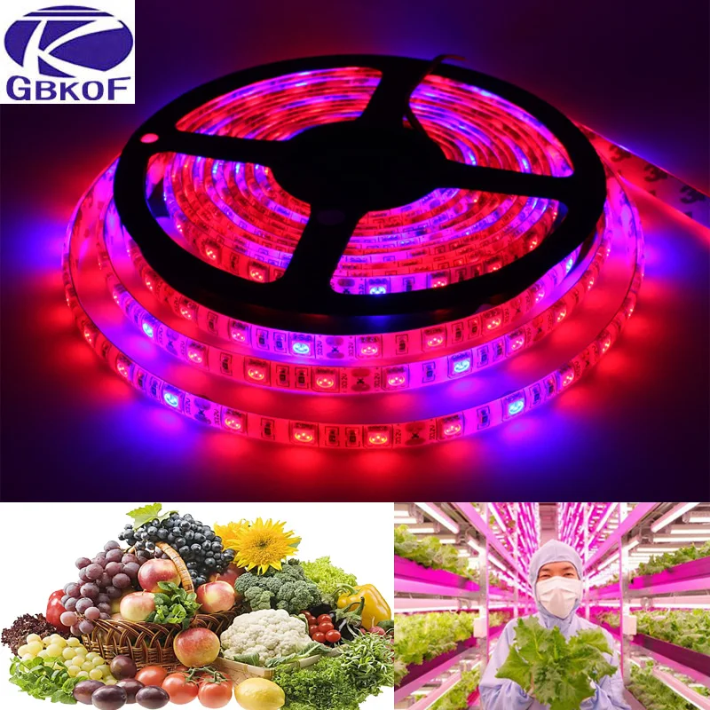 New plant grow lights DC 12V SMD 5050 led Strip 5m Hydstems growing Full spectrum Growth plant light Red Blue 3:1, 4:1,5:1
New plant grow lights DC 12V SMD 5050 led Strip 5m Hydstems growing Full spectrum Growth plant light Red Blue 3:1, 4:1,5:1